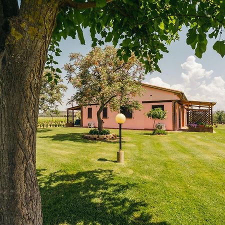 Agriturismo Il Laghetto Grosseto Exterior photo