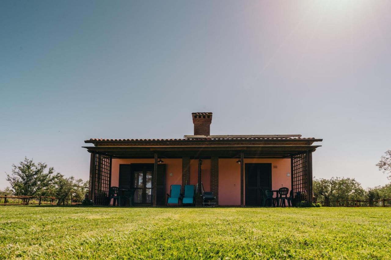 Agriturismo Il Laghetto Grosseto Exterior photo