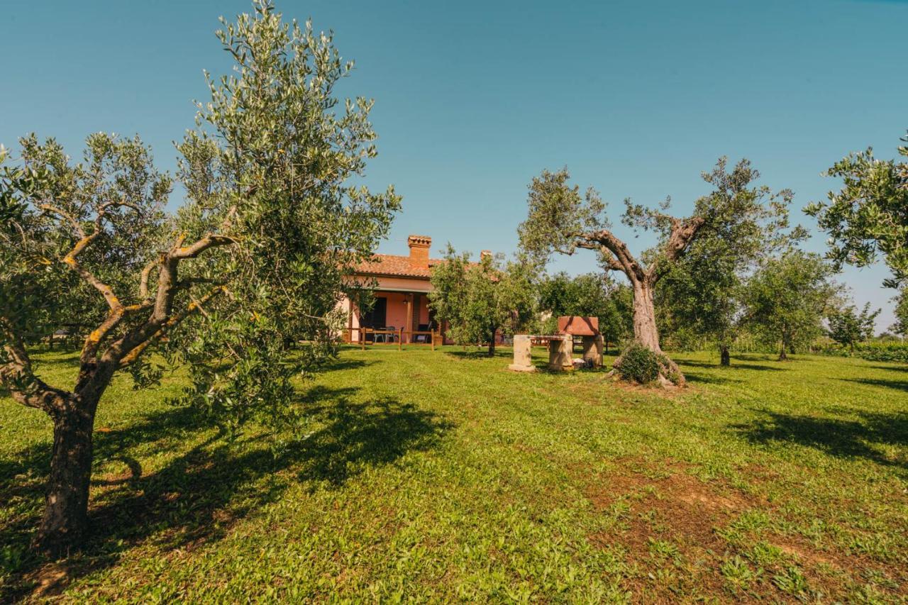 Agriturismo Il Laghetto Grosseto Exterior photo