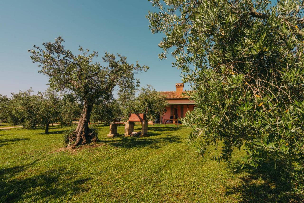 Agriturismo Il Laghetto Grosseto Exterior photo